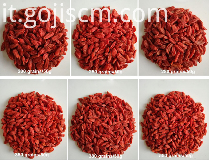 Nuove dimensioni di bacca di Goji naturale New Natural Goji Berry sizes